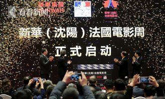 911八卦爆料网,网曝事件背后的惊人真相