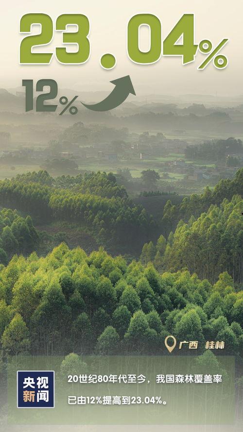 木林森在线观看,穿越时光的森林奇遇记